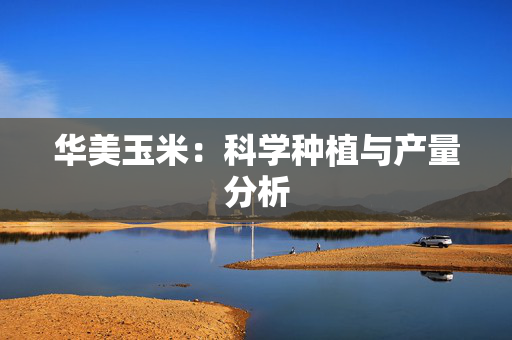 华美玉米：科学种植与产量分析
