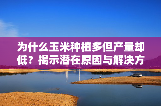 为什么玉米种植多但产量却低？揭示潜在原因与解决方案