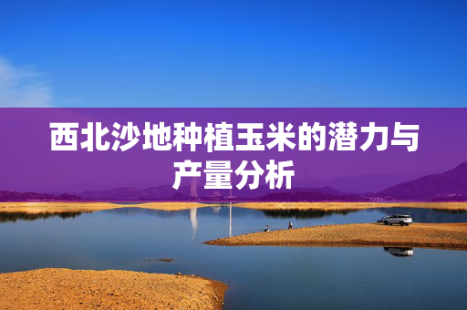西北沙地种植玉米的潜力与产量分析