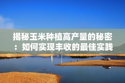 揭秘玉米种植高产量的秘密：如何实现丰收的最佳实践