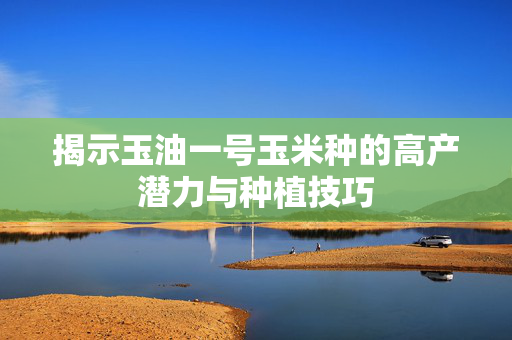 揭示玉油一号玉米种的高产潜力与种植技巧
