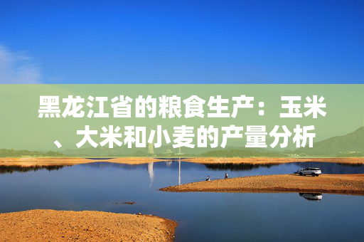 黑龙江省的粮食生产：玉米、大米和小麦的产量分析