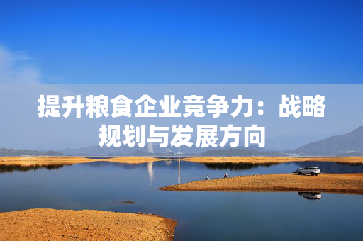 提升粮食企业竞争力：战略规划与发展方向