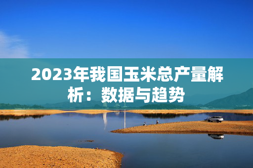 2023年我国玉米总产量解析：数据与趋势
