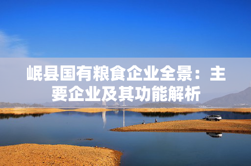 岷县国有粮食企业全景：主要企业及其功能解析