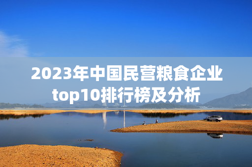 2023年中国民营粮食企业top10排行榜及分析