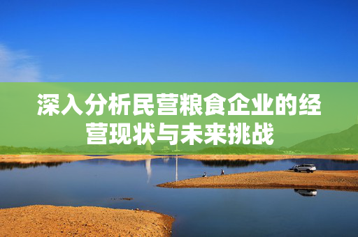 深入分析民营粮食企业的经营现状与未来挑战