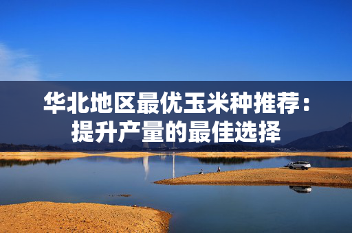 华北地区最优玉米种推荐：提升产量的最佳选择