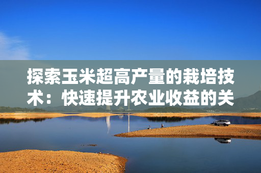 探索玉米超高产量的栽培技术：快速提升农业收益的关键