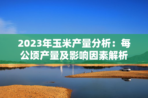 2023年玉米产量分析：每公顷产量及影响因素解析