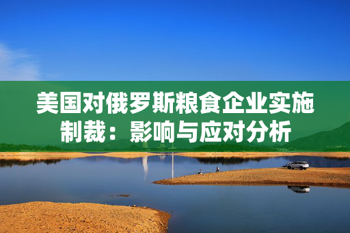 美国对俄罗斯粮食企业实施制裁：影响与应对分析