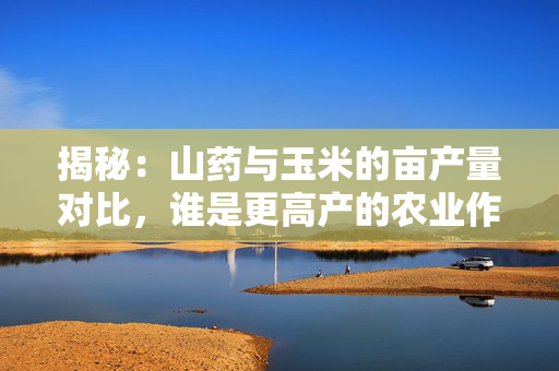 揭秘：山药与玉米的亩产量对比，谁是更高产的农业作物？