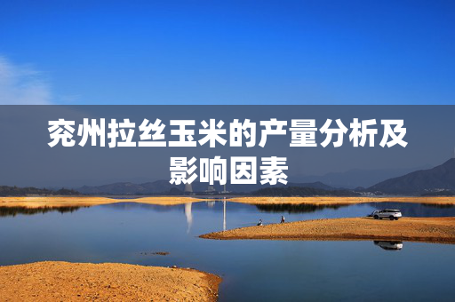 兖州拉丝玉米的产量分析及影响因素