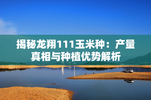 揭秘龙翔111玉米种：产量真相与种植优势解析