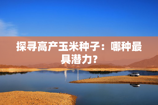 探寻高产玉米种子：哪种最具潜力？