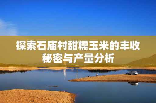 探索石庙村甜糯玉米的丰收秘密与产量分析