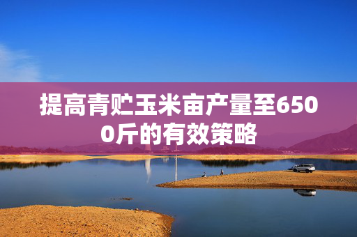 提高青贮玉米亩产量至6500斤的有效策略