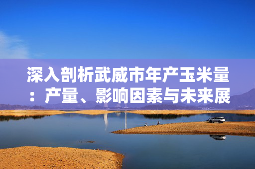 深入剖析武威市年产玉米量：产量、影响因素与未来展望