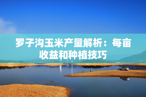 罗子沟玉米产量解析：每亩收益和种植技巧