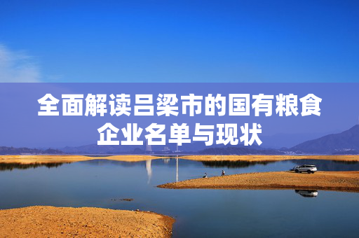 全面解读吕梁市的国有粮食企业名单与现状