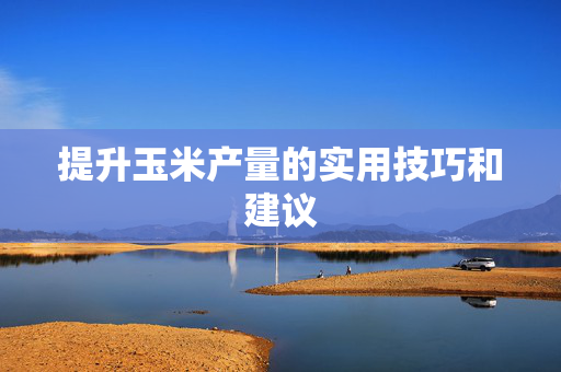提升玉米产量的实用技巧和建议