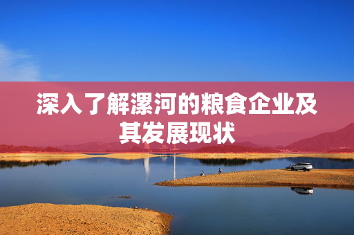 深入了解漯河的粮食企业及其发展现状
