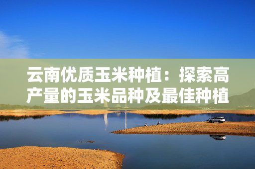 云南优质玉米种植：探索高产量的玉米品种及最佳种植策略