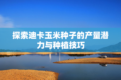 探索迪卡玉米种子的产量潜力与种植技巧