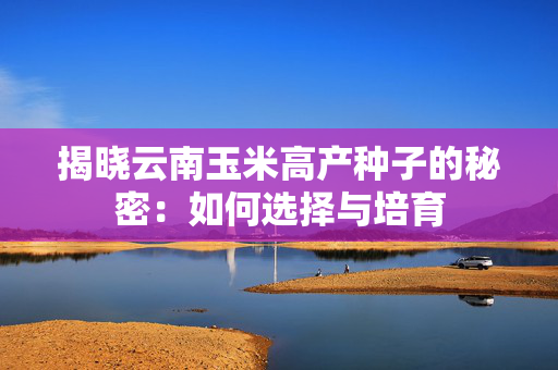 揭晓云南玉米高产种子的秘密：如何选择与培育