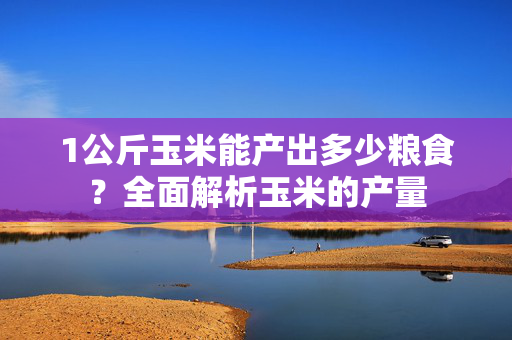 1公斤玉米能产出多少粮食？全面解析玉米的产量
