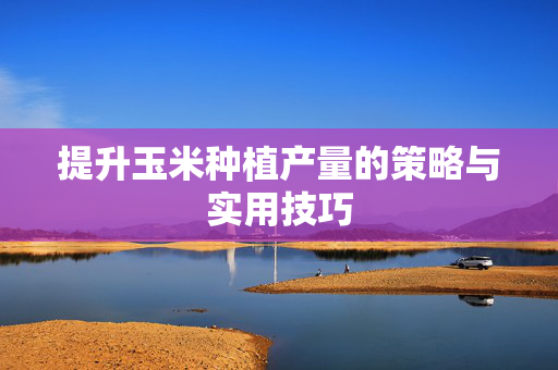 提升玉米种植产量的策略与实用技巧