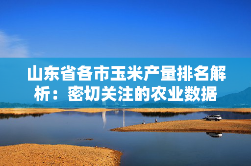 山东省各市玉米产量排名解析：密切关注的农业数据
