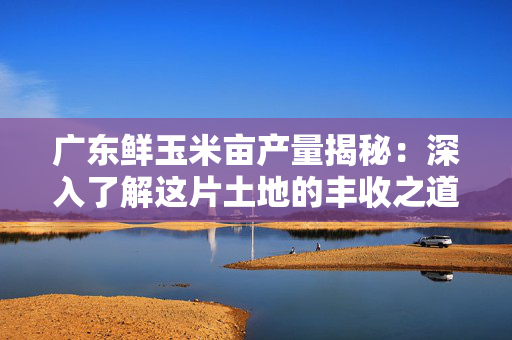 广东鲜玉米亩产量揭秘：深入了解这片土地的丰收之道