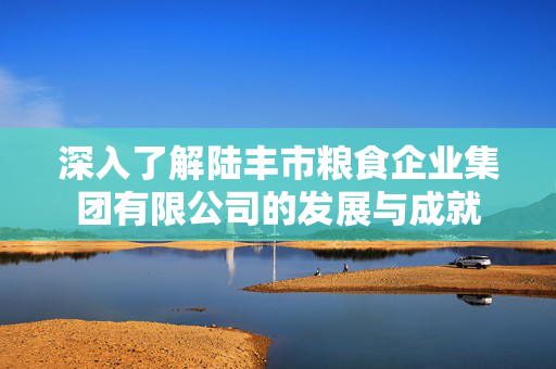 深入了解陆丰市粮食企业集团有限公司的发展与成就