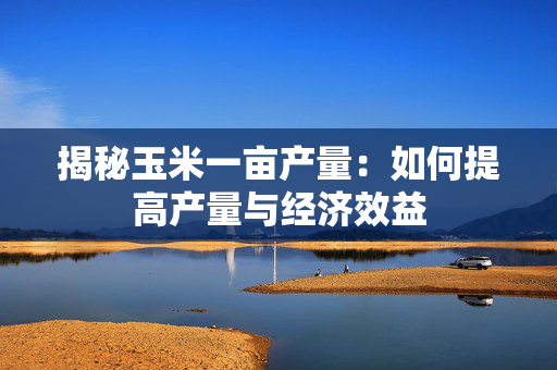 揭秘玉米一亩产量：如何提高产量与经济效益