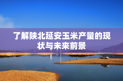 了解陕北延安玉米产量的现状与未来前景