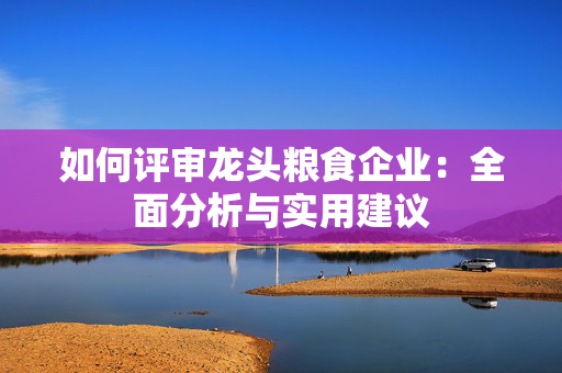 如何评审龙头粮食企业：全面分析与实用建议