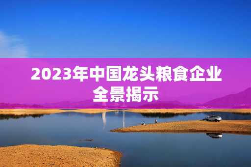 2023年中国龙头粮食企业全景揭示