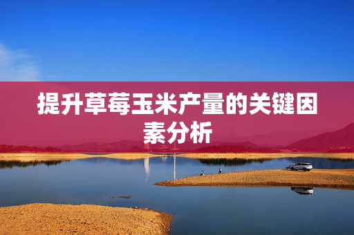提升草莓玉米产量的关键因素分析