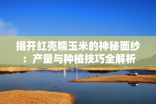 揭开红壳糯玉米的神秘面纱：产量与种植技巧全解析