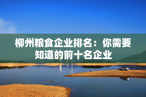 柳州粮食企业排名：你需要知道的前十名企业