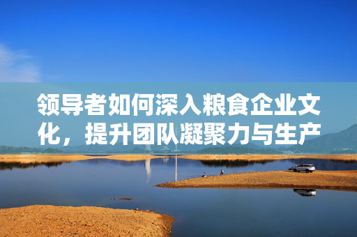 领导者如何深入粮食企业文化，提升团队凝聚力与生产效率