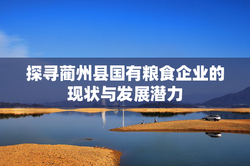 探寻蔺州县国有粮食企业的现状与发展潜力
