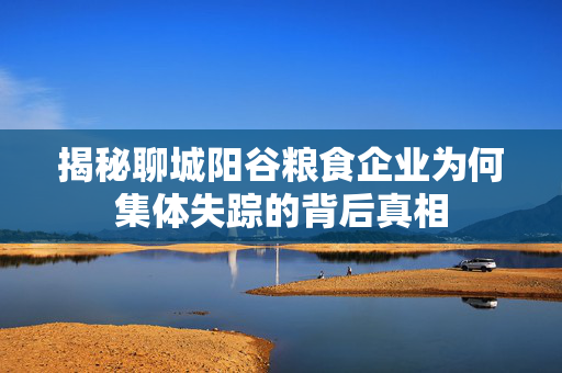 揭秘聊城阳谷粮食企业为何集体失踪的背后真相