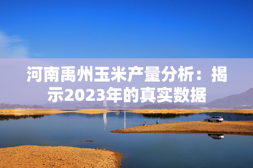 河南禹州玉米产量分析：揭示2023年的真实数据