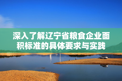 深入了解辽宁省粮食企业面积标准的具体要求与实践