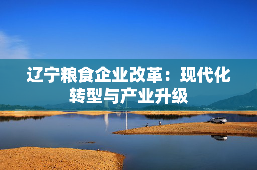 辽宁粮食企业改革：现代化转型与产业升级