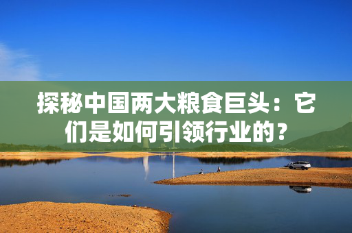 探秘中国两大粮食巨头：它们是如何引领行业的？