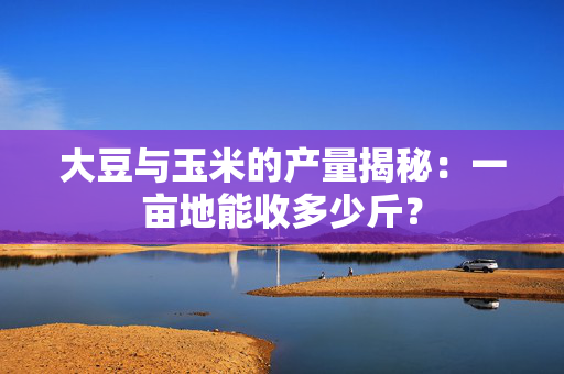 大豆与玉米的产量揭秘：一亩地能收多少斤？