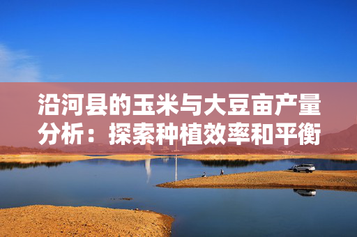 沿河县的玉米与大豆亩产量分析：探索种植效率和平衡收益